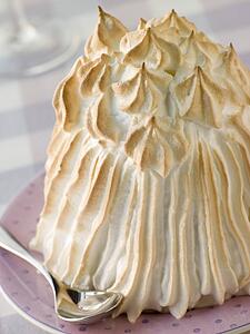 Baked Alaska