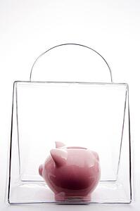 Piggy Bank In A Bag
