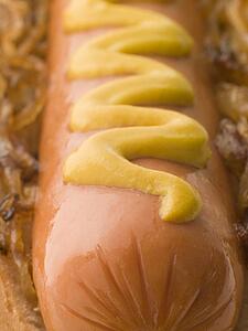 Hot Dog with Fried Onions and Mustard