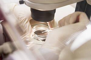 Embryologist transferring egg to a special culture media (selective focus)