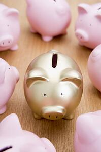 Golden Piggy Bank Among Many Pink Ones