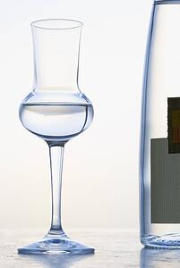 Glass of Grappa