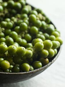 Green Peppercorns on the vine