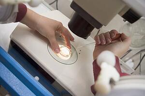 Embryologist adding sperm to egg