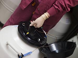 Embryologist freezing embryos for storage