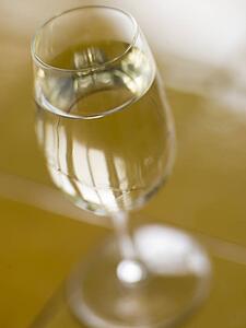 Glass of Spanish Dry Sherry