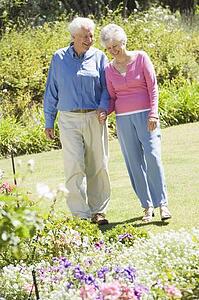 Senior couple in a flower garden