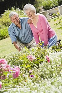 Senior couple in a flower garden