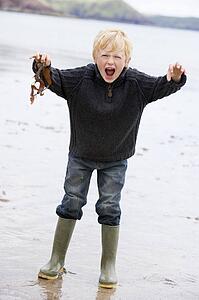 Young boy standing on beach holding leaves smiling