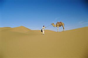 Woman outdoors walking in the desert with a camel (far away)