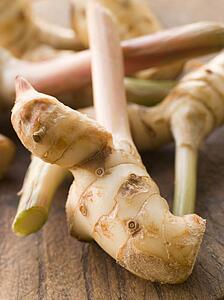 Stem of Galangal Root