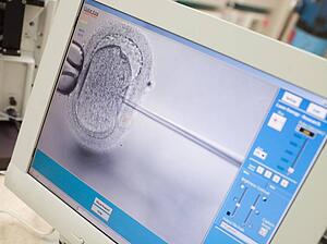 Monitor showing intra cytoplasmic sperm injection (selective focus)
