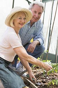 Woman in greenhouse planting seeds and man holding watering can smiling
