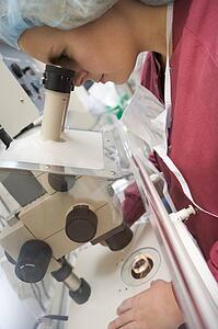 Embryologist adding sperm to egg