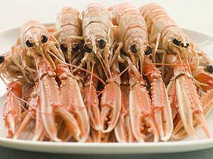 Platter of Langouste