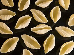 Conchiglioni Pasta Shell