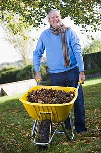 Man outdoors with wheelbarrow full of leaves smiling (selective focus)