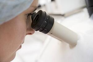Embryologist adding sperm to egg