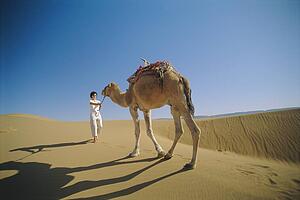 Woman outdoors in the desert with a camel
