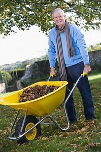 Man outdoors with leaves in wheelbarrow smiling (selective focus)