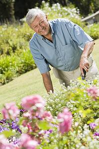 Senior man in a flower garden