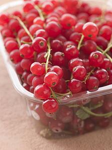 Redcurrants in packaging