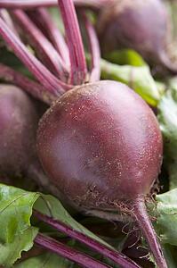 Bunch of beetroot