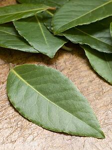 Bay leaves on chopping board