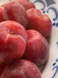 Plums in dish