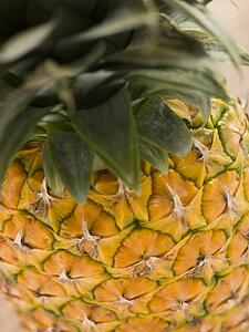 Fresh pineapple