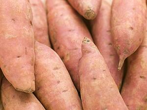 Sweet potato
