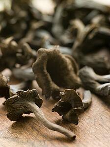 Wild mushrooms