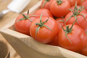 Red Tomatoes in a Wooden Trug