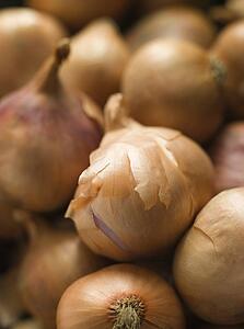 Shallots