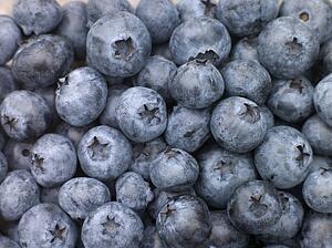 Fresh blueberries
