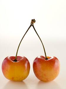 Cherries