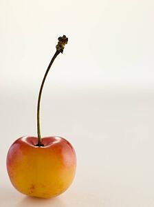 Cherries