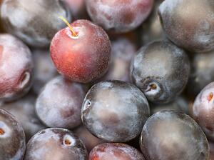 Plums
