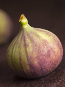 Fresh fig