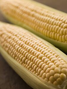Cobs of corn