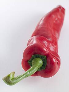 Romano pepper