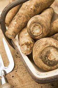 Parsnips in wooden trug