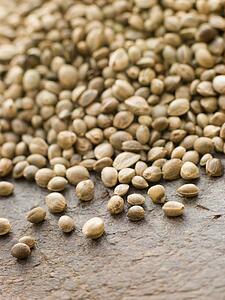 Green lentils, puy lentils