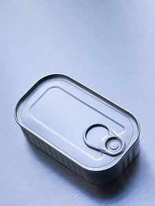 Pull ring can
