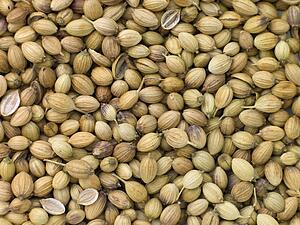 Corriander seeds