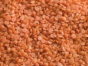 Red lentils