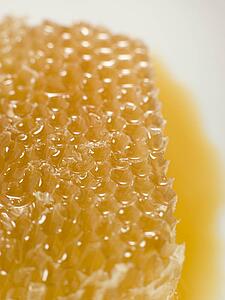 Honeycomb