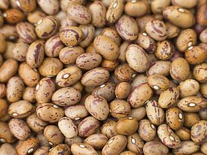Borlotti beans