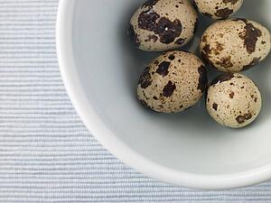 Quails egg