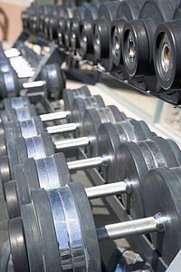 Row Of Dumbbells At Gym